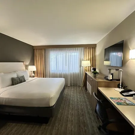 Best Western Plus Atlantic Beach Resort-3
